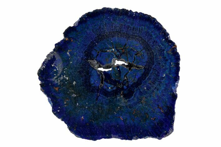 Vivid Blue, Cut/Polished Azurite Nodule Slice - Siberia #209516